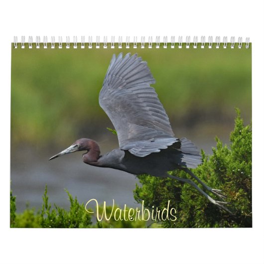 Watervogels 4 kalender (Hoes)