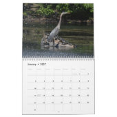 Watervogels 4 kalender (Jan 2027)