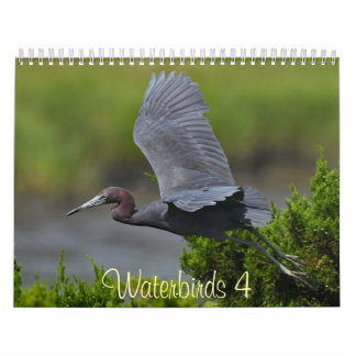 Watervogels 4 kalender