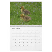 Watervogels 4 kalender (Mar 2027)