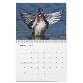 Watervogels 4 kalender (Feb 2027)