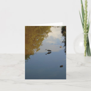 Watervogels in het Poolse park Glasgow Kaart