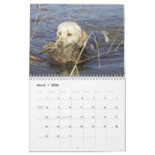 Watervogels jagen kalender (Mar 2026)