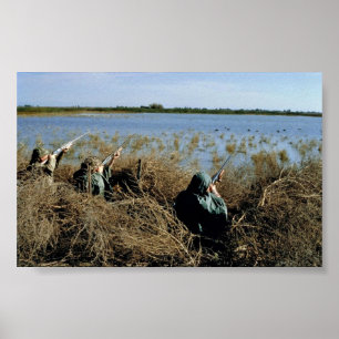 Watervogels jagen poster
