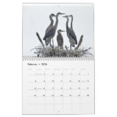 Watervogels Kalender (Feb 2026)