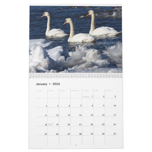 Watervogels Kalender (Jan 2026)