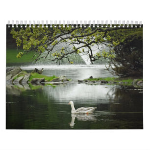 Watervogels Kalender
