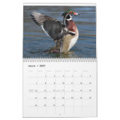 Watervogels Kalender (Mar 2027)