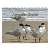 watervogels kalender (Hoes)