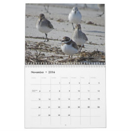 watervogels kalender
