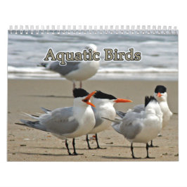 watervogels kalender