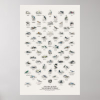 Watervogels - Naturalist's Library