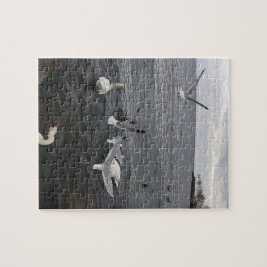 Watervogels op het Ontario-meer Legpuzzel (Horizontaal)