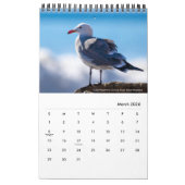 Watervogels van Zuid-Californië door Kelly Nine Kalender (Mar 2026)