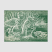 Watervogels Weefselpapier Tissuepapier (Voorkant)