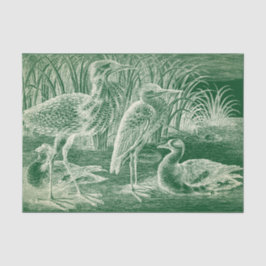 Watervogels Weefselpapier Tissuepapier