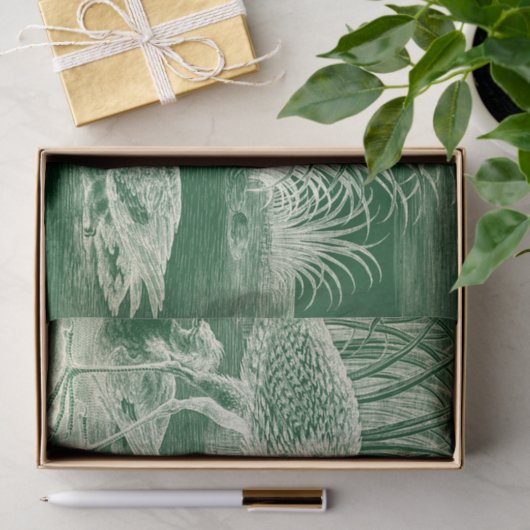 Watervogels Weefselpapier Tissuepapier (Geschenk)