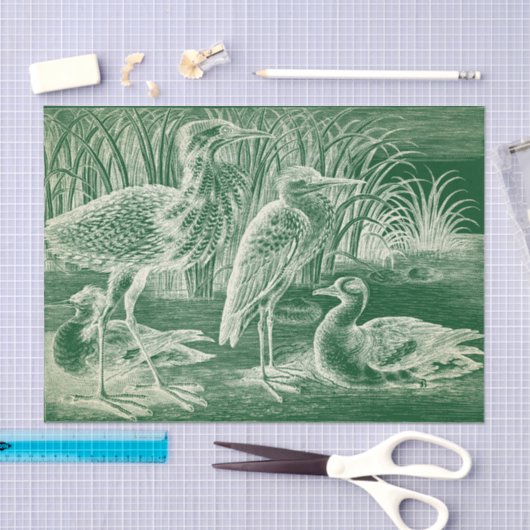 Watervogels Weefselpapier Tissuepapier (Craft)