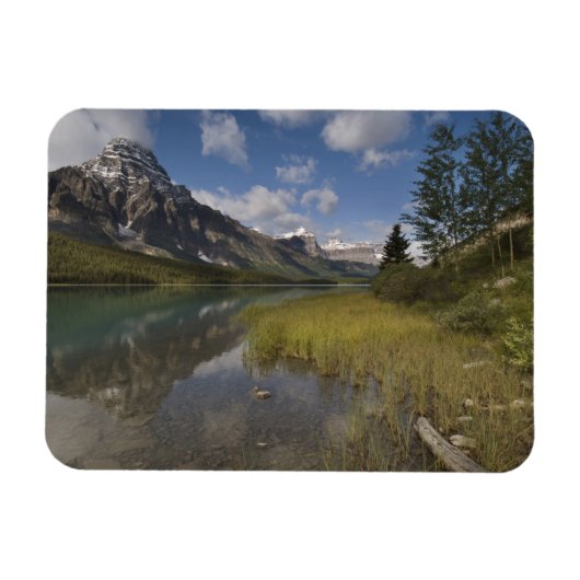 Watervogelsmeer langs de Icefields parkway, Magneet (Horizontaal)