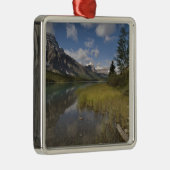 Watervogelsmeer langs de Icefields parkway, Metalen Ornament (Rechts)