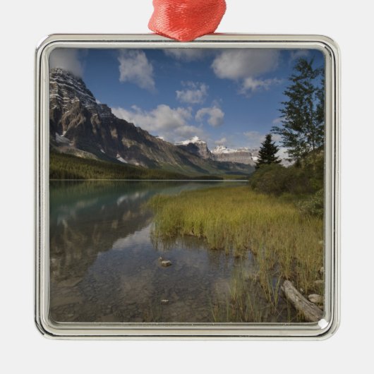 Watervogelsmeer langs de Icefields parkway, Metalen Ornament (Voorkant)
