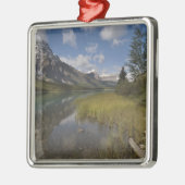 Watervogelsmeer langs de Icefields parkway, Metalen Ornament (Links)