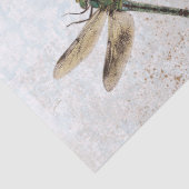  watervrij ventilatordragonfly ontkoppelen Blauw Tissuepapier (Detail)