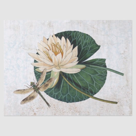  watervrij ventilatordragonfly ontkoppelen Blauw Tissuepapier (Voorkant)