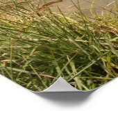 Waterwiel Poster (Hoek)