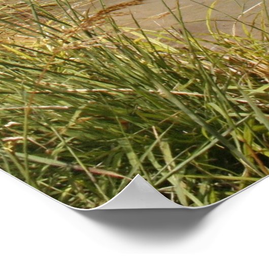 Waterwiel Poster (Hoek)