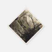  waterwiel servet (Hoek)