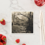  waterwiel servet (Insitu)