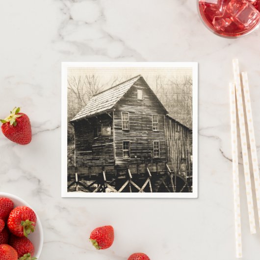 waterwiel servetten (Insitu)