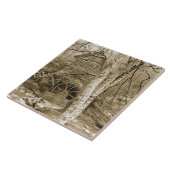  waterwiel tegeltje (Zijkant)