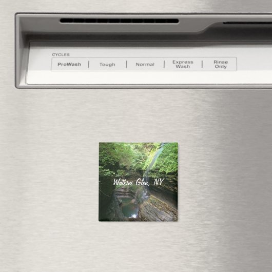 Watkins Glen Koelkast Magnet (Insitu (Vaatwasser))