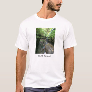 Watkins Glen, NY T-Shirt