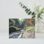 Watkins Glen State Park, New York Briefkaart (Staand voorkant)