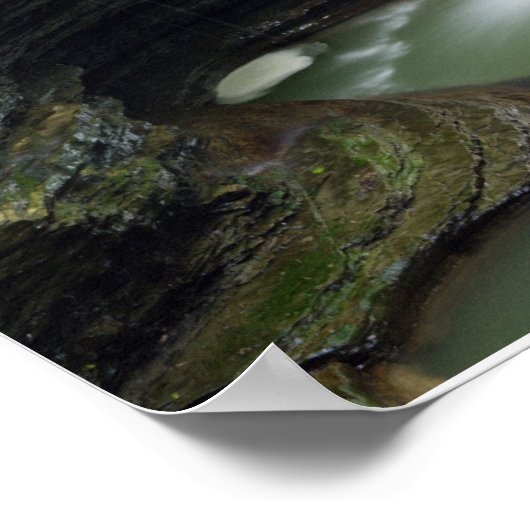 Watkins Glen Waterfall Print (Hoek)
