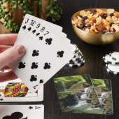 Watkins Glen-watervallen Pokerkaarten (Insitu)