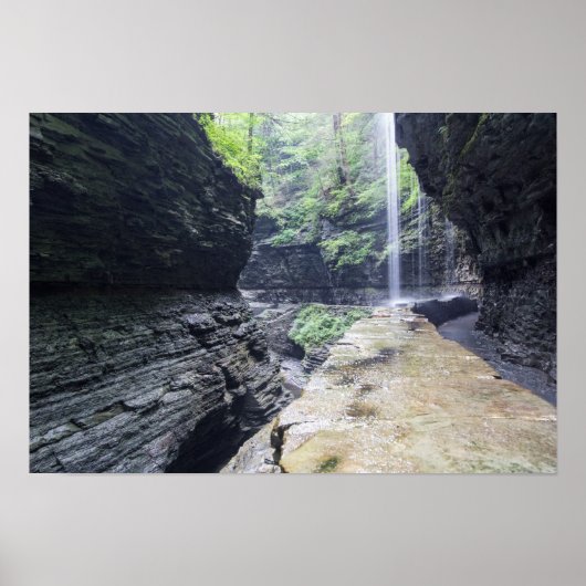 Watkins Glen, Watkins Glen State Park, New York Poster (Voorkant)