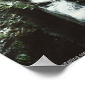 Watkins Herfsten Poster (Hoek)