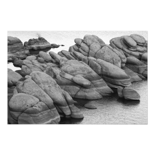 Watson Lake Foto Afdruk (Voorkant)