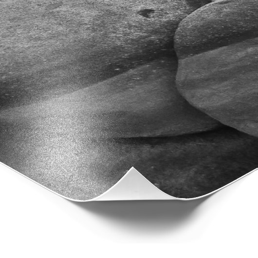 Watson Lake Foto Afdruk (Hoek)