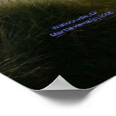 Watsonville Beach Print - Selecteer uw Lijst (Hoek)