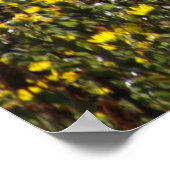 Watsonville Fields van Van Gogh II Poster (Hoek)