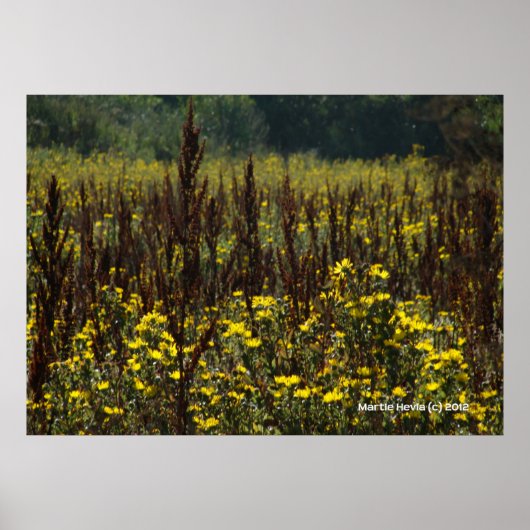 Watsonville Fields van Van Gogh II Poster (Voorkant)