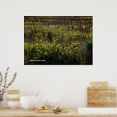 Watsonville Fields van Van Gogh Poster (Keuken)