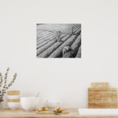 Watsonville Migrant Mexicaanse Arbeiders Poster (Keuken)