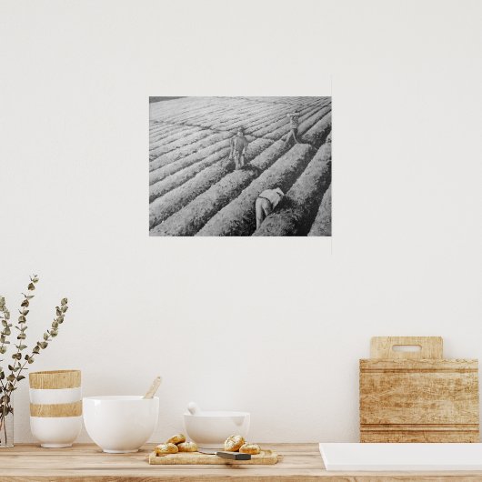 Watsonville Migrant Mexicaanse Arbeiders Poster (Keuken)