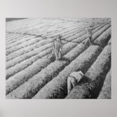 Watsonville Migrant Mexicaanse Arbeiders Poster (Voorkant)